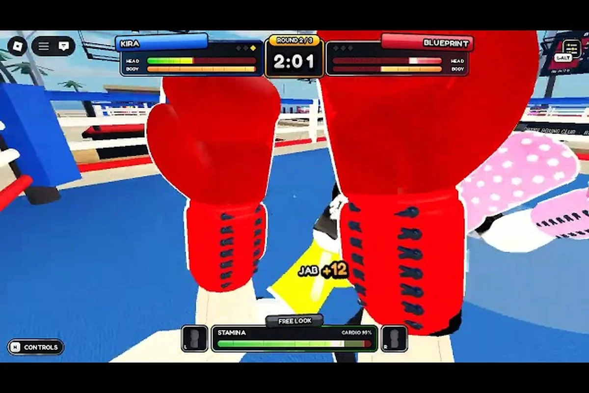 First Person Boxing Ranglisten-Modus: Bestätigte Fakten & Aufstiegstipps